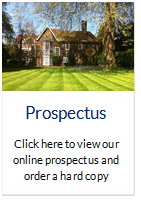 Webpage Prospectus button