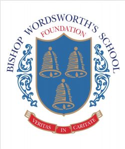 BWS Foundation Logo